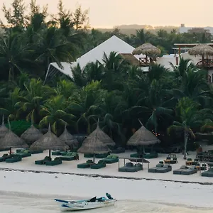 ホテル Casa Tortugas Petit &, ホルボックス島